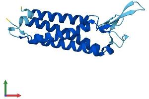 Protein Structure (PS) image for Epithelial Membrane Protein 3 (EMP3) (AA 1-163) protein (His tag) (ABIN7547422)