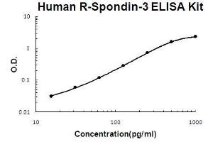 Human R-Spondin-3 PicoKine ELISA Kit standard curve (R-Spondin 3 ELISA 试剂盒)