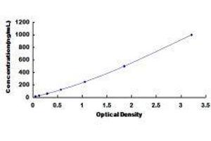 Typical standard curve (Haptoglobin ELISA 试剂盒)