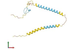 Protein Structure (PS) image for SFRS12-Interacting Protein 1 (SFRS12IP1) (AA 1-155) protein (His tag) (ABIN7546439)