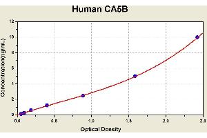 Diagramm of the ELISA kit to detect Human CA5Bwith the optical density on the x-axis and the concentration on the y-axis.