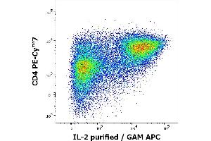 Flow cytometry multicolor intracellular staining of human PMA + ionomycin stimulated and Brefeldin A treated peripheral whole blood showing lymphocytes stained using anti-human CD4 (MEM-241) PE-Cy™7 antibody (4 μL reagent / 100 μL of peripheral whole blood) and anti-human IL-2 (35C3) purified antibody (concentration in sample 0,5 μg/mL, GAM APC). (IL-2 抗体)
