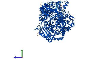 AlphaFold protein structure predicition of Mouse Recombinant Ide Protein, UniprotID Q9JHR7