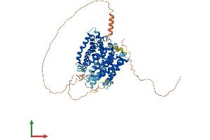 Protein Structure (PS) image for Solute Carrier Family 41, Member 2 (SLC41A2) (AA 1-573) protein (His tag) (ABIN7559022)