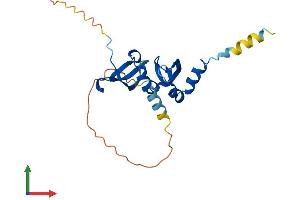 Protein Structure (PS) image for Chromobox Homolog 5 (CBX5) (AA 1-191) protein (His tag) (ABIN7557730)