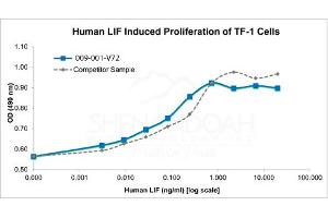 SDS-PAGE of Human Leukemia Inhibitory Factor Recombinant Protein Bioactivity of Human Leukemia Inhibitory Factor Recombinant Protein. (LIF 蛋白)