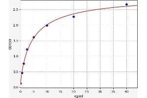 CAPNL1 ELISA 试剂盒