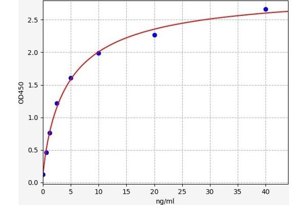 CAPNL1 ELISA 试剂盒