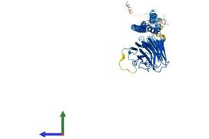Protein Structure (PS) image for Tripartite Motif Containing 14 (TRIM14) (AA 1-440) protein (His tag) (ABIN7558944)