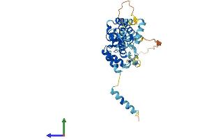Protein Structure (PS) image for Transcriptional Adaptor 1 (TADA1) (AA 1-335) protein (His tag) (ABIN7544262)