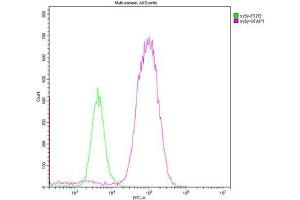 Overlay histogram showing SH-SY5Y cells stained with ABIN7153847 (red line). (GFAP 抗体  (AA 292-432))