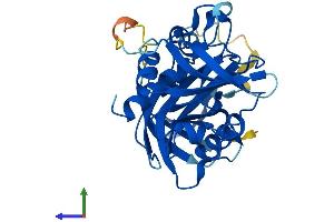 Protein Structure (PS) image for Nudix (Nucleoside Diphosphate Linked Moiety X)-Type Motif 17 (NUDT17) (AA 1-296) protein (His tag) (ABIN7560659)