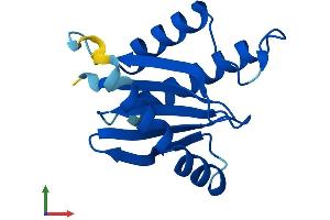 AlphaFold protein structure predicition of Mouse Recombinant Trappc2 Protein, UniprotID Q9CQP2
