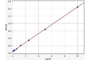 Typical standard curve (Neuroligin 3 ELISA 试剂盒)