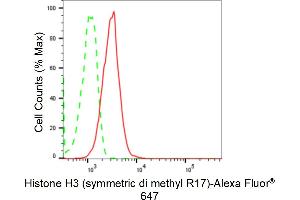 Flow cytometric analysis of Histone H3 (symmetric di methyl R17) expression in C2C12 cells using Histone H3 (symmetric di methyl R17) antibody (ABIN7798966), 1:2,000).