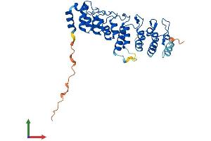 AlphaFold protein structure predicition of Human Recombinant NFKBID Protein, UniprotID Q8NI38