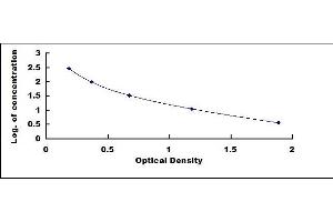 Typical standard curve (Big Dynorphin ELISA 试剂盒)