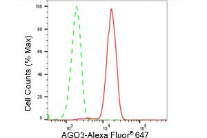 Flow cytometric analysis of AGO3 expression in HeLa cells using AGO3 antibody (ABIN7798517), 1:2,000). (Recombinant EIF2C3 抗体)