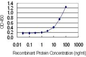Detection limit for recombinant GST tagged GAGE1 is 0. (G Antigen 1 抗体  (AA 1-139))