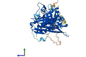 AlphaFold protein structure predicition of Human Recombinant INPP1 Protein, UniprotID P49441
