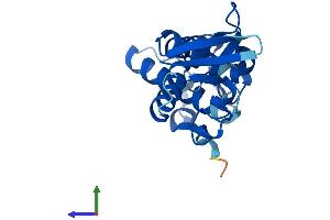 Protein Structure (PS) image for Vacuolar Protein-Sorting-Associated Protein 25 (VPS25) (AA 1-176) protein (His tag) (ABIN7545087)