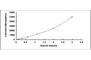 Typical standard curve (CD80 ELISA 试剂盒)