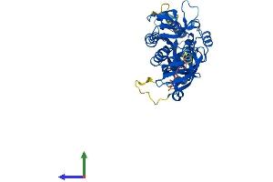 Protein Structure (PS) image for tRNA 5-Methylaminomethyl-2-Thiouridylate Methyltransferase (TRMU) (AA 1-417) protein (His tag) (ABIN7561243)