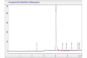 Image no. 1 for Prostate Specific Antigen (PSA) (AA 235-250) peptide (Ovalbumin) (ABIN5666259) (Prostate Specific Antigen (PSA) (AA 235-250) peptide (Ovalbumin))