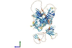 Protein Structure (PS) image for serine/threonine Kinase 11 Interacting Protein (STK11IP) (AA 1-1072) protein (His tag) (ABIN7563659)