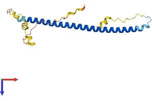 JDP2 Protein (AA 1-163) (His tag)