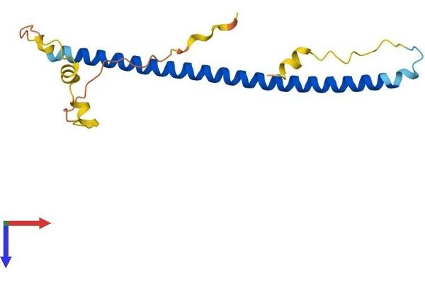 JDP2 Protein (AA 1-163) (His tag)