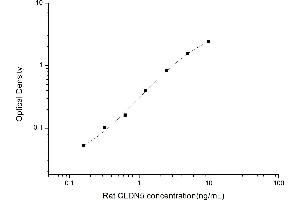 Typical standard curve (Claudin 5 ELISA 试剂盒)