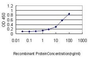 Detection limit for recombinant GST tagged MOAP1 is approximately 1ng/ml as a capture antibody. (MOAP1 抗体  (AA 1-351))