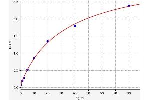 Typical standard curve (Endothelin 1 ELISA 试剂盒)