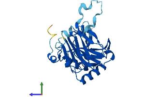 Protein Structure (PS) image for AlkB, Alkylation Repair Homolog 6 (ALKBH6) (AA 1-238) protein (His tag) (ABIN7559519)
