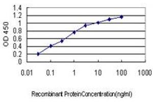 Detection limit for recombinant GST tagged AURKB is approximately 0. (Aurora Kinase B 抗体  (AA 1-90))