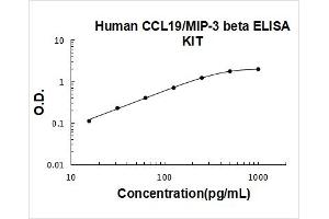 Human CCL19/MIP-3 beta PicoKine ELISA Kit standard curve
