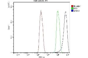 Flow Cytometry analysis of C6 cells using anti-Dynamin 3/DNM3 antibody (ABIN7601163).