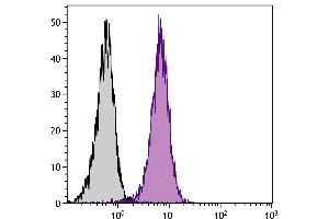 BALB/c mouse splenocytes were stained with Rat Anti-Mouse CD2-FITC. (CD2 抗体  (FITC))