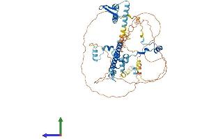 Protein Structure (PS) image for RAD21-Like 1 (RAD21L1) (AA 1-556) protein (His tag) (ABIN7551196)