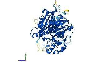 Protein Structure (PS) image for Sedoheptulokinase (SHPK) (AA 1-478) protein (His tag) (ABIN7546088)