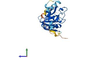 AlphaFold protein structure predicition of Human Recombinant SERHL Protein, UniprotID Q9NQF3