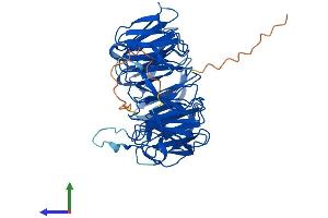 Protein Structure (PS) image for WD Repeat Domain 8 (WDR8) (AA 1-460) protein (His tag) (ABIN7545181)