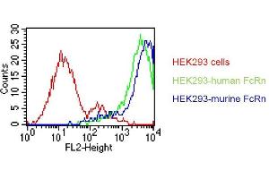 . HEK293 cells were transfected with an expression vector encoding either human FcRn (green curve) or murine FcRn (blue curve). Untransfected HEK293 cells were used as a negative control (red curve). Binding of DVN24 was detected with a PE conjugated secondary antibody. A positive signal was obtained with human and with murine FcRn transfected cells. * DVN24 generally shows weaker reactivity towards mouse than human FcRn (Derry C. Roopenian, unpublished data) (FcRn 抗体)