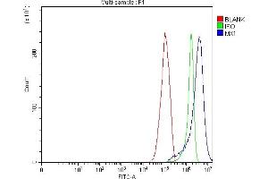 Flow Cytometry analysis of RT4 cells using anti-MX1 antibody (ABIN7601731). (MX1 抗体  (AA 435-621))