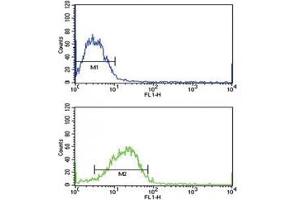 SMAD4 antibody flow cytometric analysis of MCF-7 cells (bottom histogram) compared to a negative control (top histogram).