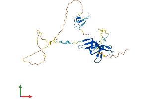 AlphaFold protein structure predicition of Mouse Recombinant Gatad1 Protein, UniprotID Q920S3 (GATAD1 Protein (AA 1-266) (His tag))