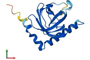 Protein Structure (PS) image for Riboflavin Kinase (RFK) (AA 1-155) protein (His tag) (ABIN7559314)