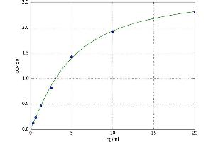 Actin, alpha 1, Skeletal Muscle (ACTA1) ELISA Kit