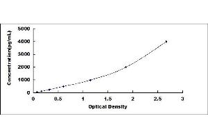 Typical standard curve
